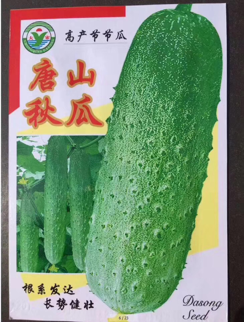 菜种子，品种齐全，现货供应下单秒发一手货源价格美丽