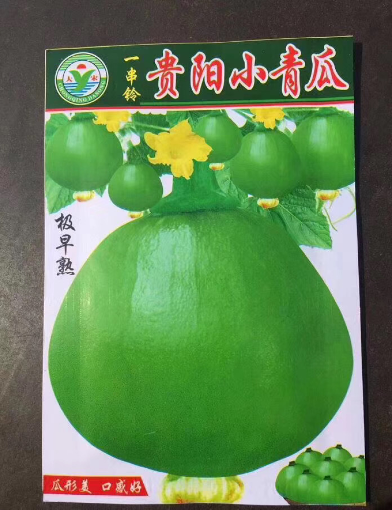 菜种子，品种齐全，现货供应下单秒发一手货源价格美丽
