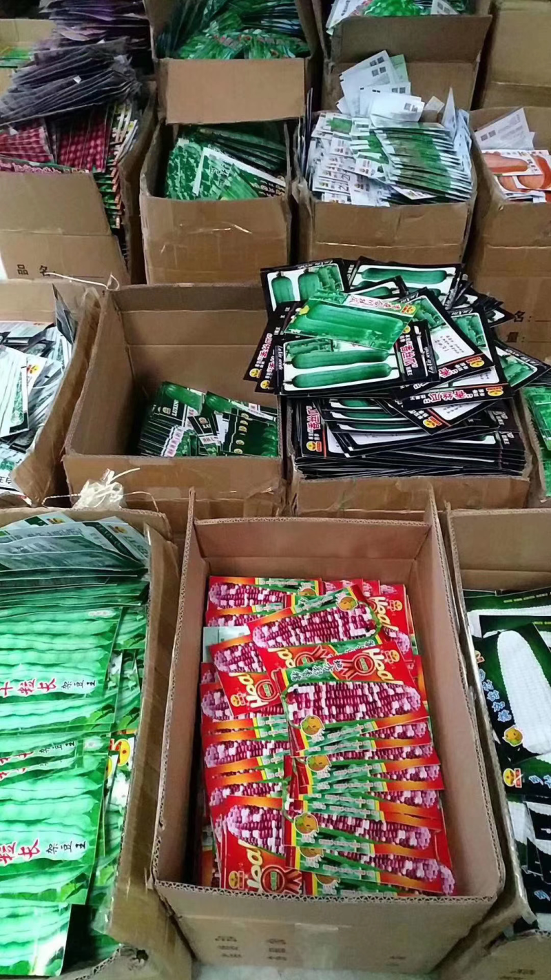 菜种子，品种齐全，现货供应下单秒发一手货源价格美丽