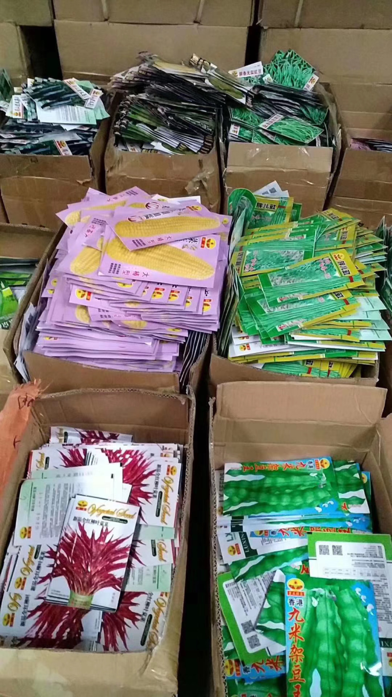 菜种子，品种齐全，现货供应下单秒发一手货源价格美丽