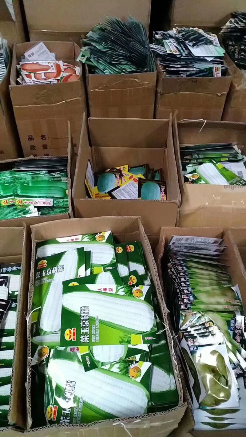 菜种子，品种齐全，现货供应下单秒发一手货源价格美丽