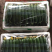 精品黄瓜