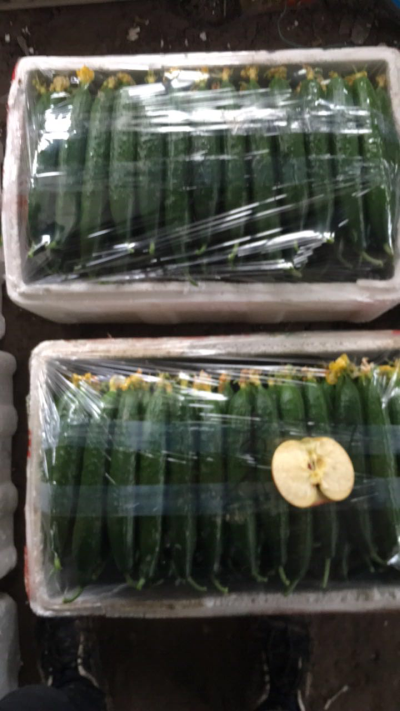 精品黄瓜