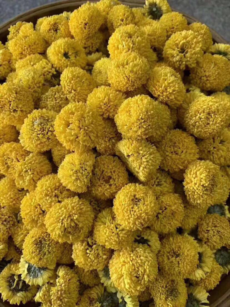 金丝皇菊绣球花，原产地直卖，一罐50克，包装陏机