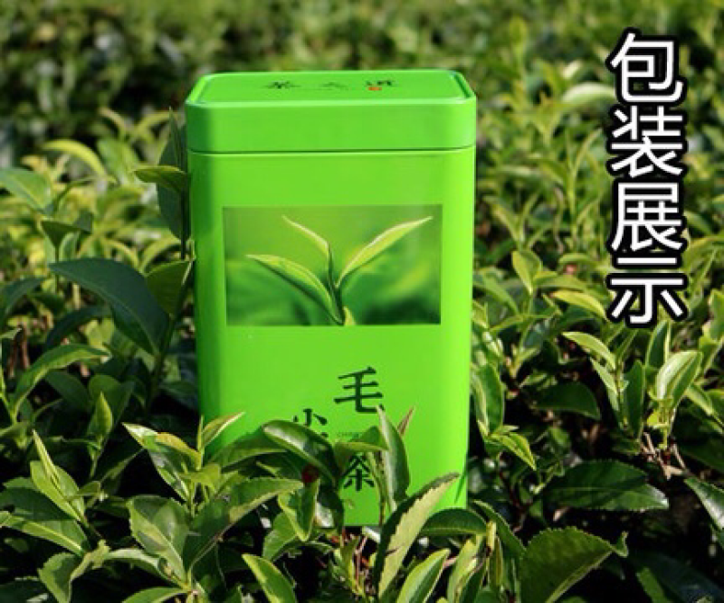 信阳毛尖，罐装二罐，250克，包装随机发，产地直销
