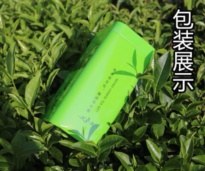 信阳毛尖，罐装二罐，250克，包装随机发，产地直销