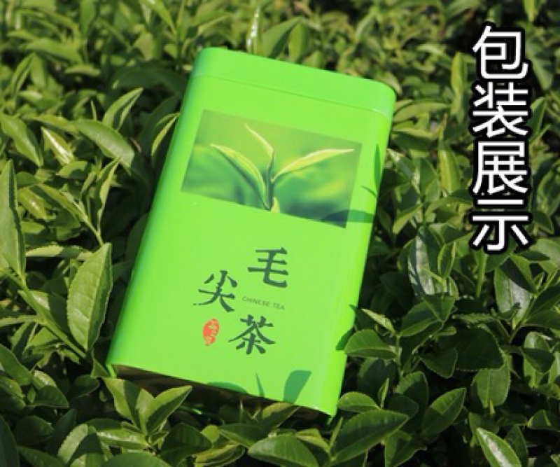 信阳毛尖，罐装二罐，250克，包装随机发，产地直销