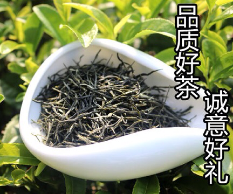 信阳毛尖，罐装二罐，250克，包装随机发，产地直销