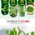 信阳毛尖，罐装二罐，250克，包装随机发，产地直销