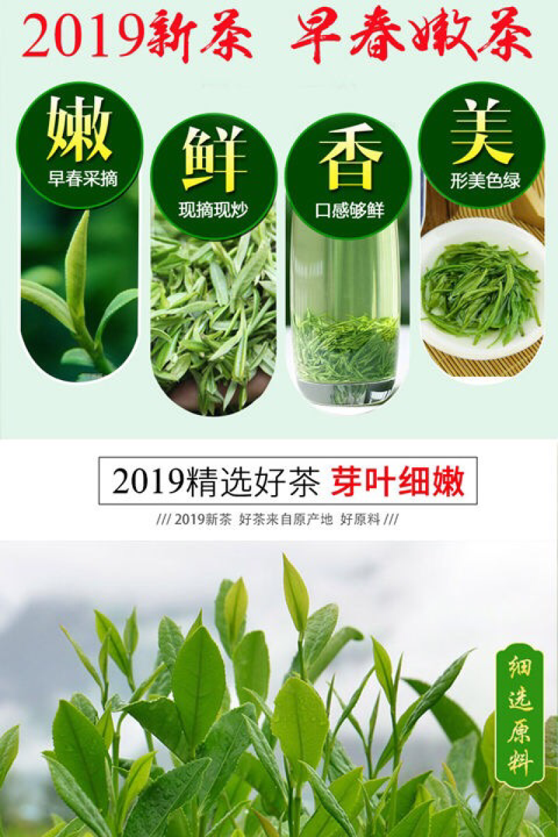 信阳毛尖，罐装二罐，250克，包装随机发，产地直销