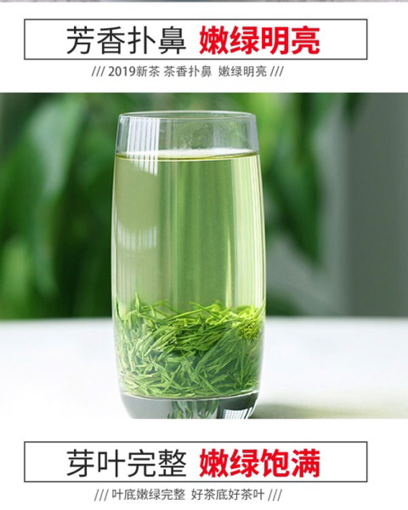 信阳毛尖，罐装二罐，250克，包装随机发，产地直销