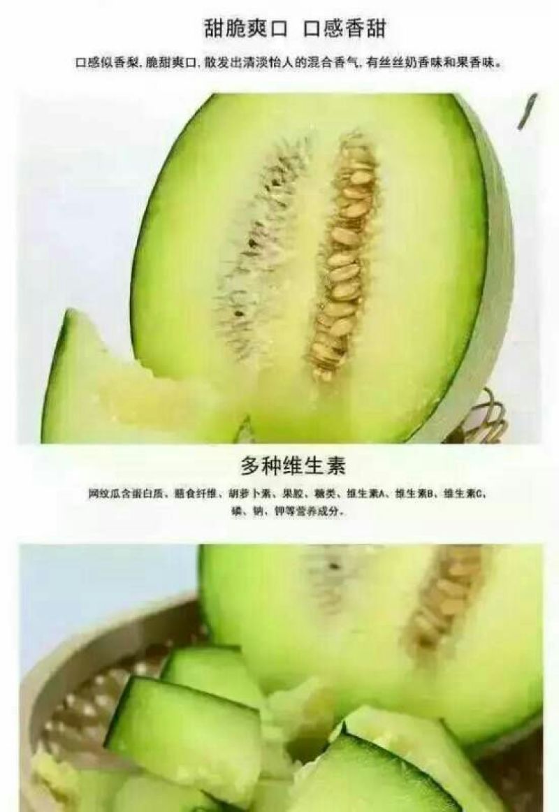 网纹瓜3斤以上椭圆形