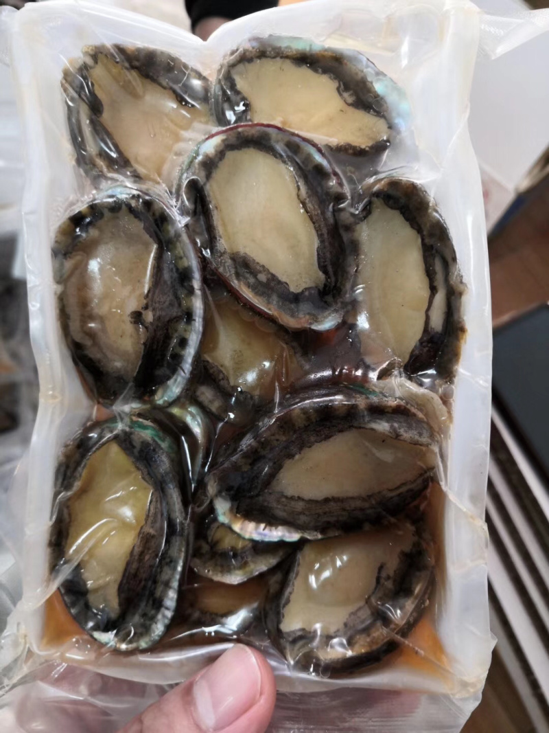 鲍鱼