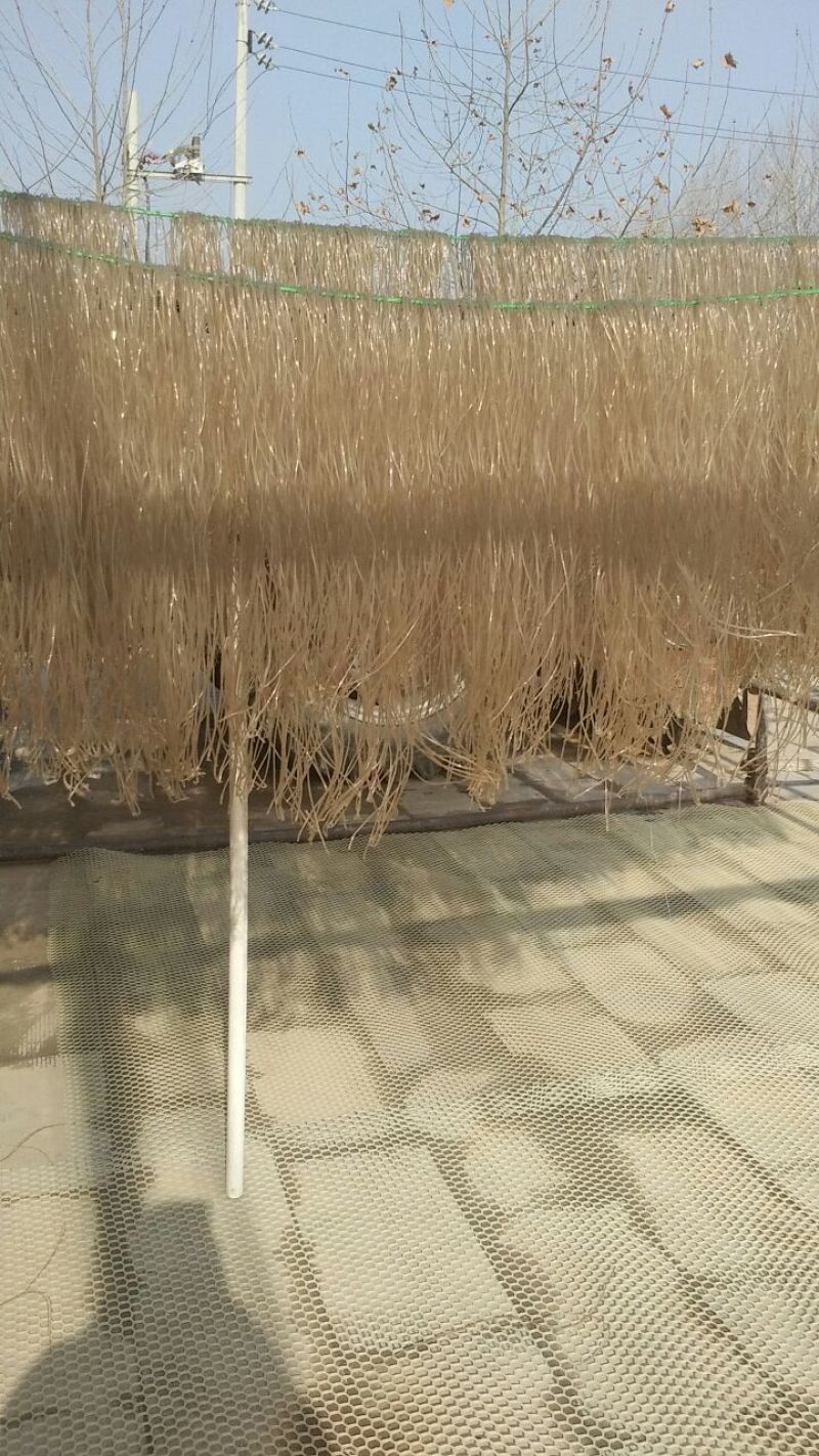 红薯粉面颗粒