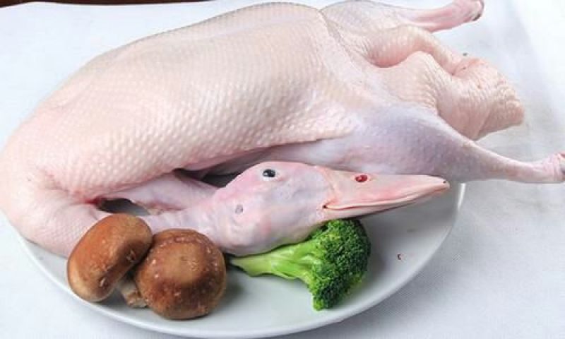 批发白条鸭白条鹅批发鸭肠鹅肠白条樱桃谷鹅肝鹅胗