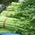 芹菜50cm以上