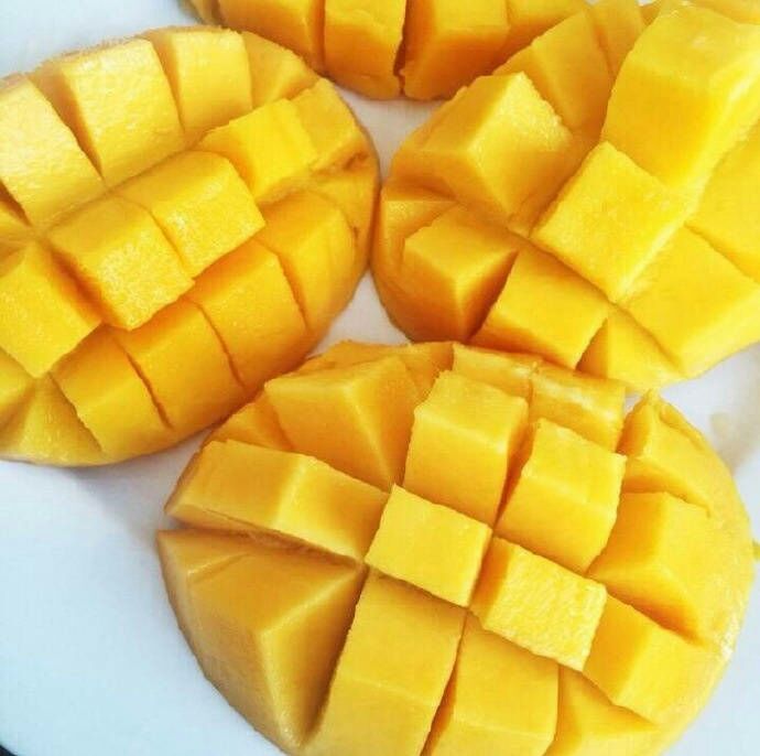 云南红河州河口县鹰嘴芒果 4两以上批发_于晓