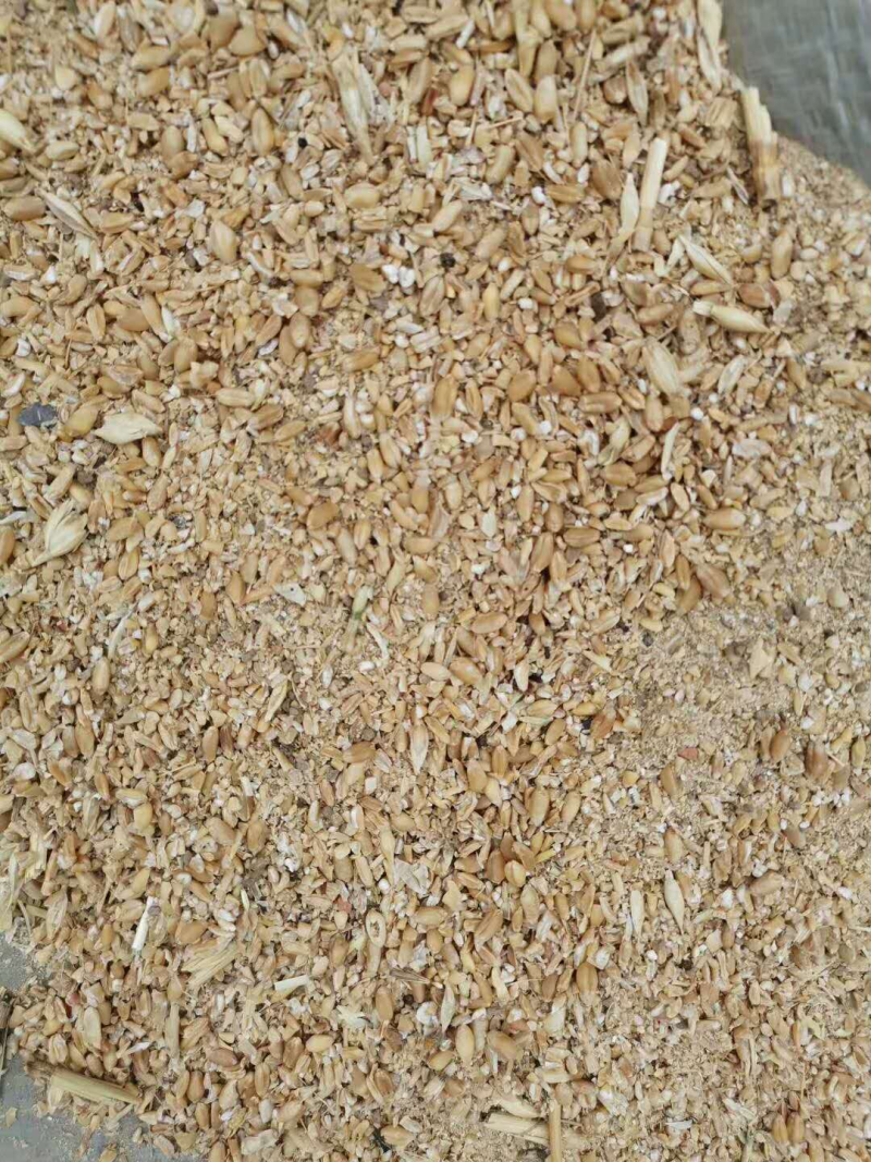 优质各种碎小麦下脚料，适合鸡鸭鹅猪牛羊饲料添加。量大优惠