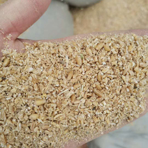 优质各种碎小麦下脚料，适合鸡鸭鹅猪牛羊饲料添加。量大