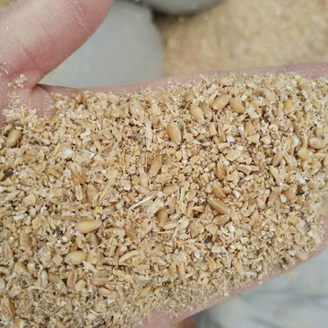 优质各种碎小麦下脚料，适合鸡鸭鹅猪牛羊饲料添加。量大优惠
