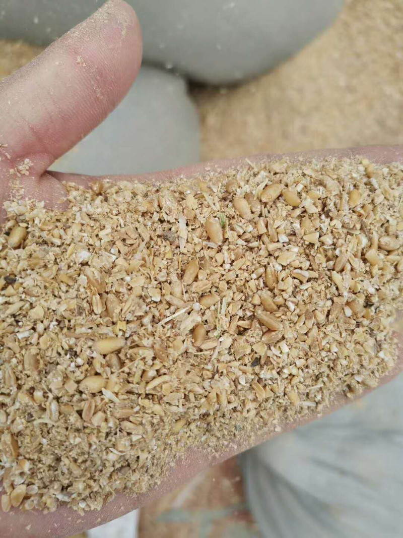 优质各种碎小麦下脚料，适合鸡鸭鹅猪牛羊饲料添加。量大优惠