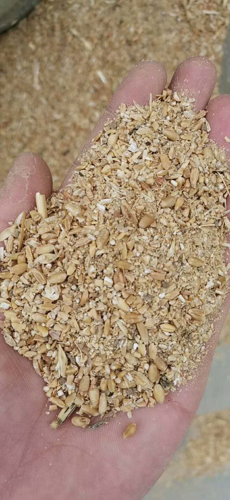 优质各种碎小麦下脚料，适合鸡鸭鹅猪牛羊饲料添加。量大优惠