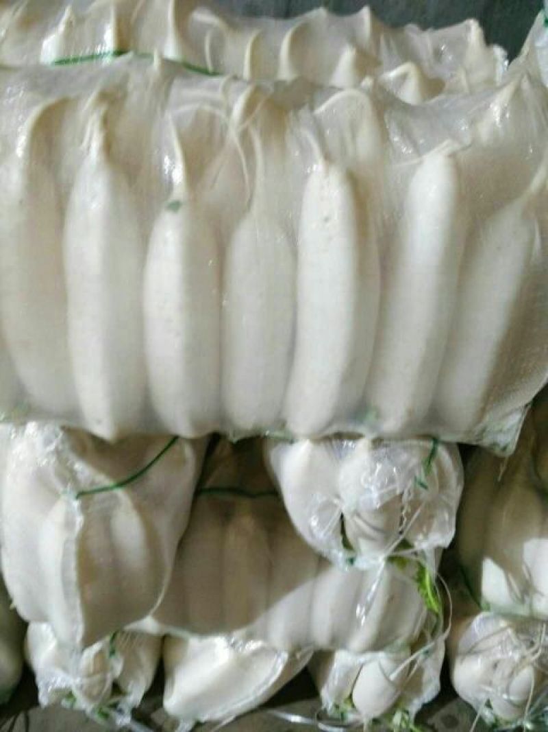 白萝卜1~1.5斤起