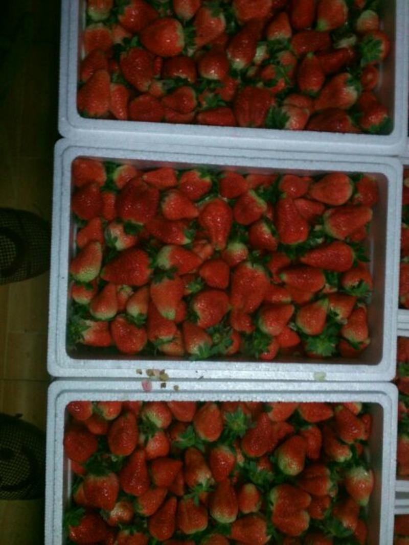 妙香草莓20克以上