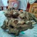 工艺品葫芦4~6cm