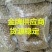 纸皮核桃去皮干