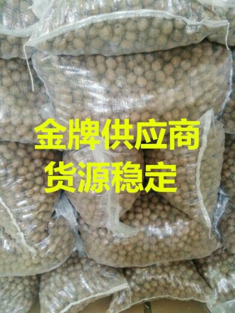 纸皮核桃去皮干