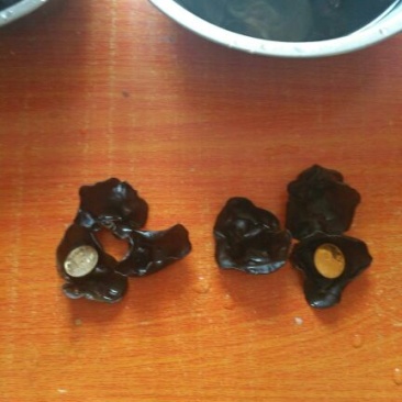 黑木耳一级