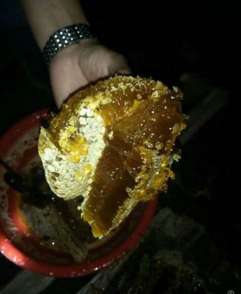 土蜂蜜