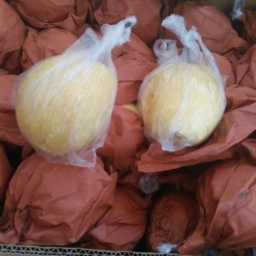 贡梨纸袋200~250g