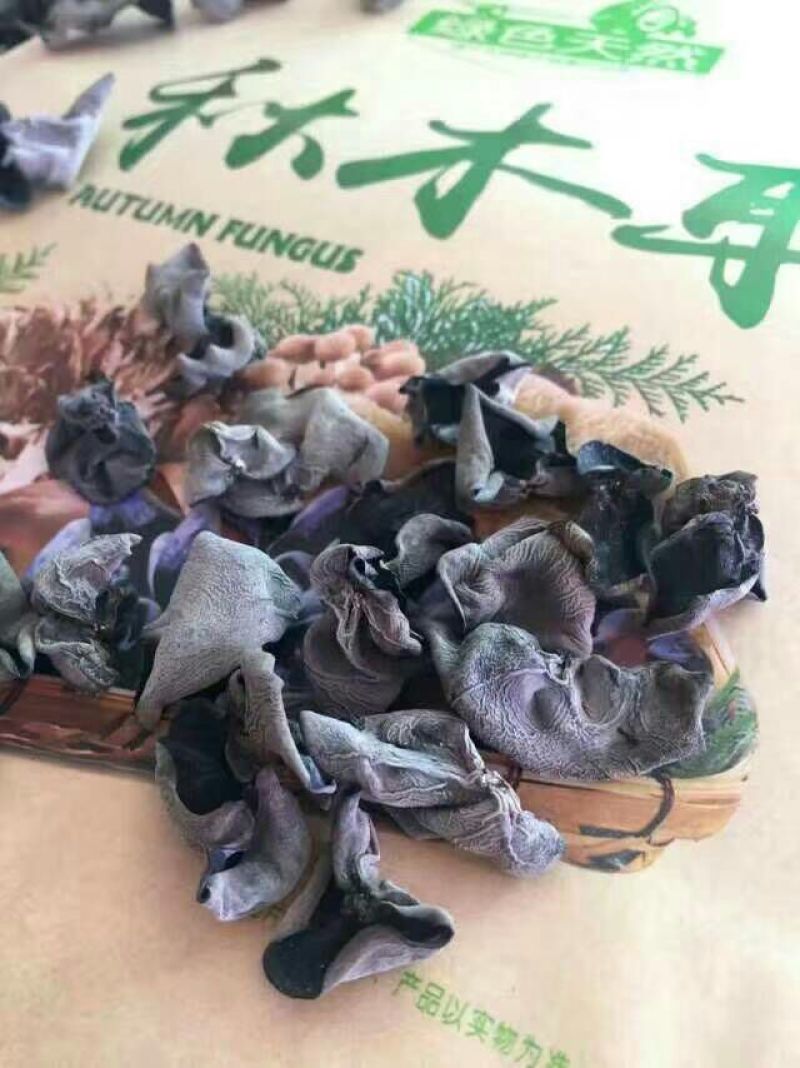秋耳一级