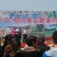 蜂蜜纯正槐花蜜，新货上市
