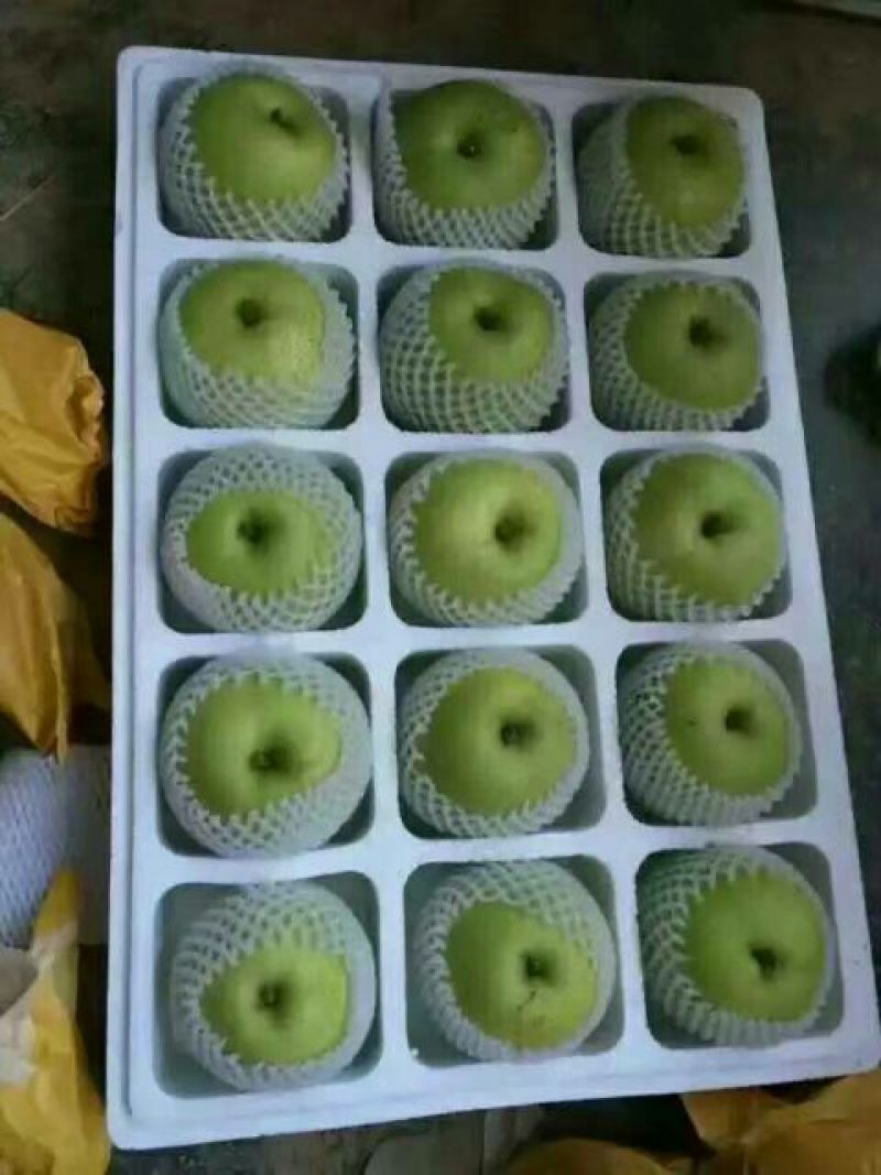 皇冠梨100~150g光果