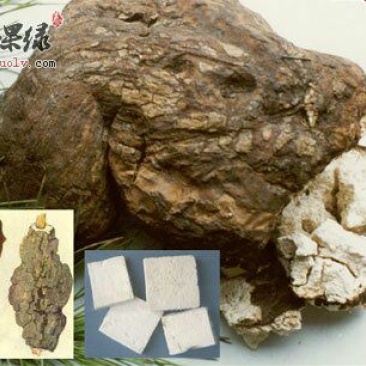 茯苓
