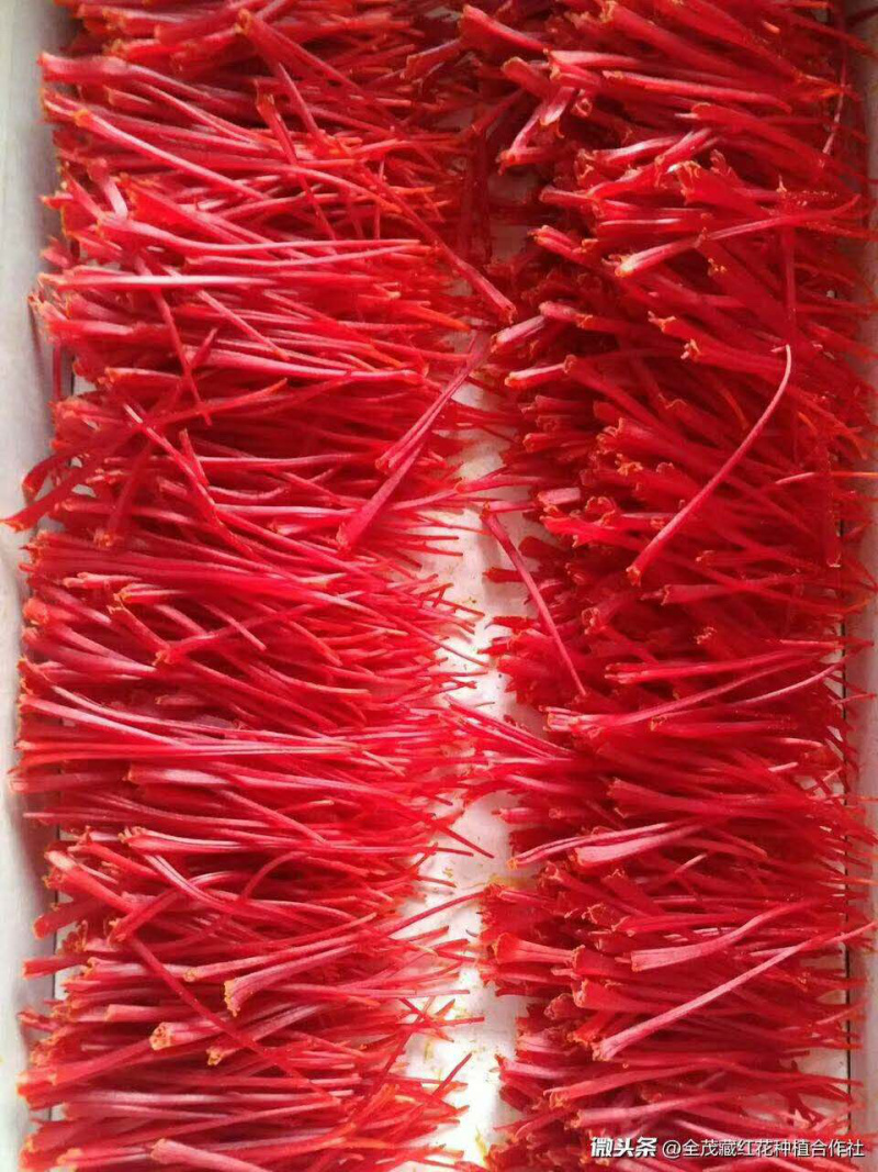 藏红花种球：花丝销售