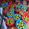 陈哥精品果蔬购销基地的一亩田店铺