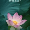 李花的一亩田店铺