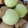 富祥果蔬批发代办的一亩田店铺
