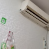 杨清杰的一亩田店铺