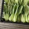 邓明军的一亩田店铺