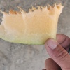 任杰的一亩田店铺