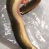 华联超市的一亩田店铺