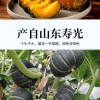 润锦商贸有限公司的一亩田店铺
