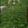 陈妙婷的一亩田店铺