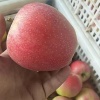 晁代红的一亩田店铺