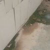贺苏童的一亩田店铺